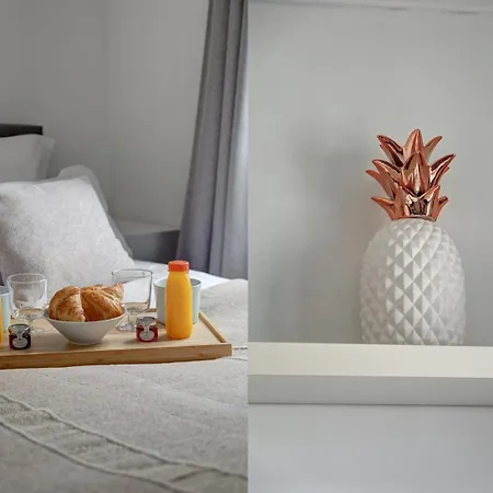 395 Biot 10 - Superbe A Lägenhet